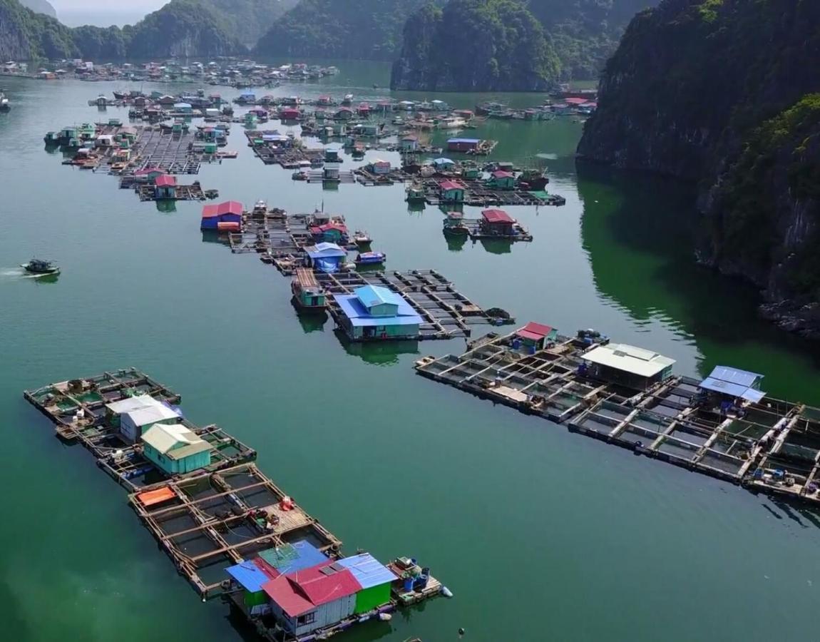 Cat Ba Thailand Hotel Dong Khe Sau Ngoại thất bức ảnh